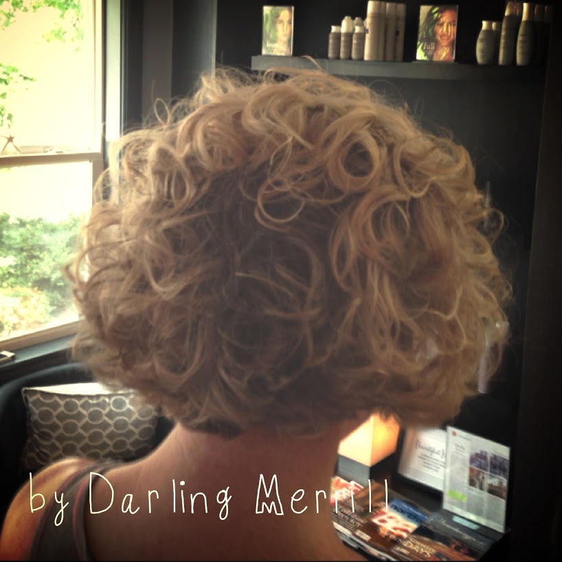 Darling Merrill Hair Company 